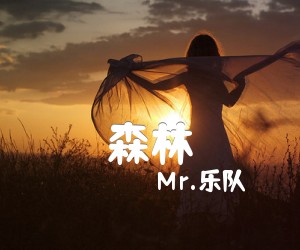 《森林吉他谱》_Mr.乐队_C调_吉他图片谱1张