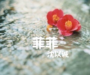 《菲菲吉他谱》_沈以诚_C调_吉他图片谱4张