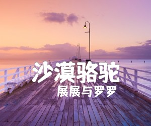 《沙漠骆驼吉他谱》_展展与罗罗_C调_吉他图片谱3张