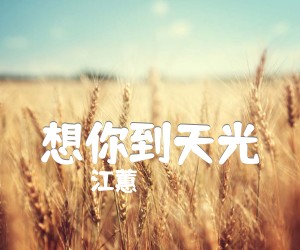 《想你到天光吉他谱》_江蕙_C调_吉他图片谱1张