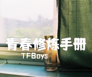 《青春修炼手册吉他谱》_TFBoys_C调_吉他图片谱1张