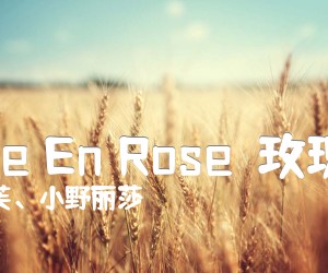 《La Vie En Rose（玫瑰人生）吉他谱》_皮雅芙、小野丽莎_C调_吉他图片谱1张