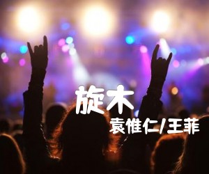 《旋木吉他谱》_袁惟仁/王菲_C调_吉他图片谱1张