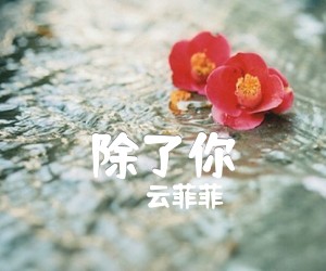 《除了你吉他谱》_云菲菲_未知调_吉他图片谱1张