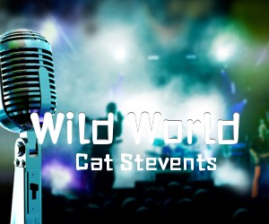 《Wild World吉他谱》_Cat Stevents_未知调_吉他图片谱2张