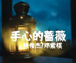 《手心的蔷薇吉他谱》_林俊杰/邓紫棋_C调_吉他图片谱2张