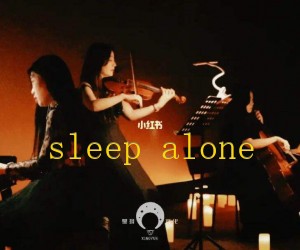 《sleep alone吉他谱》_陈奕迅_G调_吉他图片谱1张