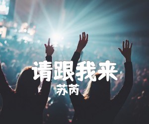 《请跟我来吉他谱》_苏芮_G调_吉他图片谱2张