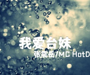 《我爱台妹吉他谱》_张震岳/MC HotDog_G调_吉他图片谱1张