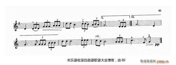 小提琴南飞之雁语