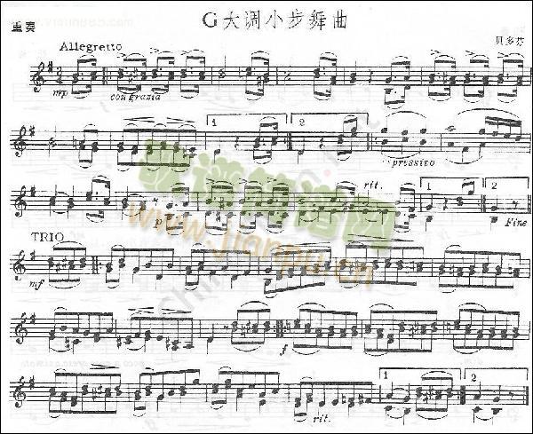 贝多芬《G大调小步舞曲》重奏曲简谱小提琴版,新手独奏曲谱曲子五线谱