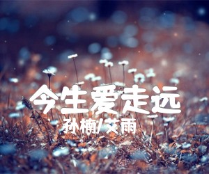 《今生爱走远吉他谱》_孙楠/艾雨_G调_吉他图片谱2张