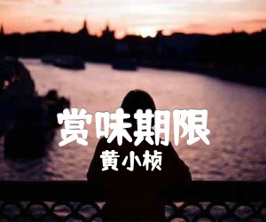 《赏味期限吉他谱》_黄小桢_F调_吉他图片谱1张