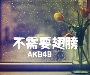 《不需要翅膀吉他谱》_AKB48_C调_吉他图片谱1张