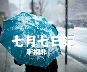 《七月七日记吉他谱》_宇桐非_C调_吉他图片谱2张