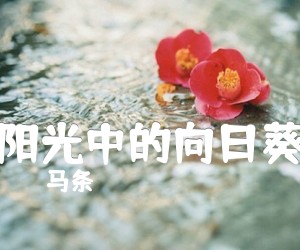 《阳光中的向日葵吉他谱》_马条_G调_吉他图片谱1张