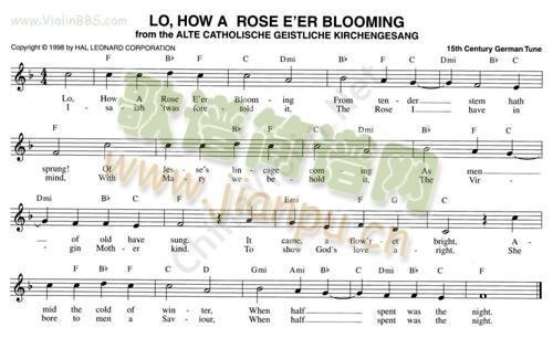 111.LO,HOW A ROSE E`ER BLOOMING