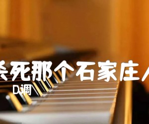 《杀死那个石家庄人吉他谱》_D调_D调_吉他图片谱2张