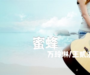 《蜜蜂吉他谱》_万玲琳/王贰浪_C调_吉他图片谱2张