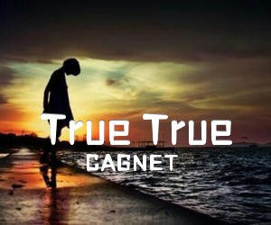 《True True吉他谱》_CAGNET_C调_吉他图片谱2张