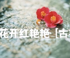 山丹丹花开红艳艳  [古筝曲谱]吉他谱_焦金海_原版弹唱吉他简谱