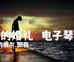 梦中的婚礼   电子琴曲谱吉他谱_塞内维尔 图森_原版指弹吉他简谱