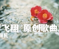 让梦飞翔（原创歌曲之三）吉他谱_杜得民_C调_原版弹唱吉他简谱