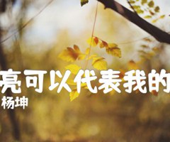 月亮可以代表我的心吉他谱_杨坤_原版弹唱吉他简谱