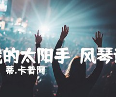 《我的太阳手  风琴谱吉他谱》_蒂.卡普阿_吉他图片谱1张