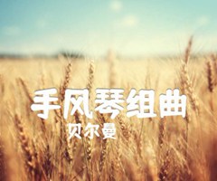 《手风琴组曲吉他谱》_贝尔曼_吉他图片谱1张