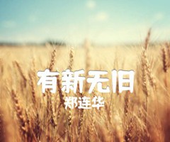 有新无旧吉他谱_郑连华_原版指弹吉他简谱