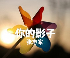 《你的影子吉他谱》_张志家_吉他图片谱1张