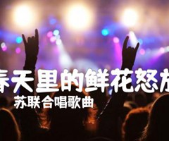 《春天里的鲜花怒放吉他谱》_苏联合唱歌曲_吉他图片谱1张