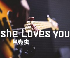 she Loves you吉他谱_甲壳虫_G调_原版指弹吉他简谱