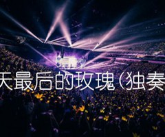 《夏天最后的玫瑰(独奏曲)吉他谱》_佚名_吉他图片谱1张