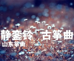 《夜静銮铃   古筝曲谱吉他谱》_山东筝曲_D调_吉他图片谱1张