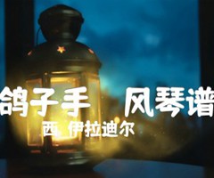 《鸽子手    风琴谱吉他谱》_（西）伊拉迪尔_吉他图片谱1张