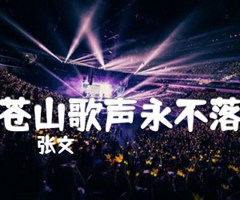 《苍山歌声永不落吉他谱》_张文_吉他图片谱1张