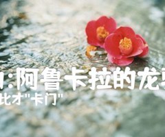 选曲:阿鲁卡拉的龙骑兵吉他谱_法比才 卡门 _原版指弹吉他简谱