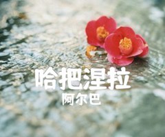 《哈把涅拉吉他谱》_阿尔巴_吉他图片谱1张