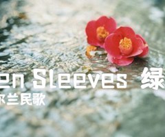 Green Sleeves（绿袖子）吉他谱_爱尔兰民歌_原版指弹吉他简谱