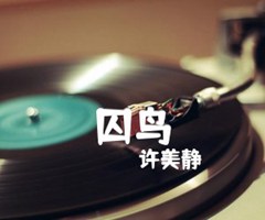 囚鸟吉他谱_许美静_原版指弹吉他简谱