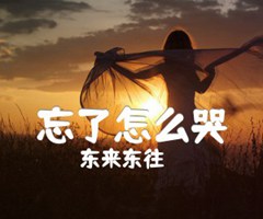 忘了怎么哭吉他谱_东来东往_G调_原版指弹吉他简谱