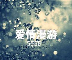 《爱情漫游吉他谱》_5566_D调_吉他图片谱4张