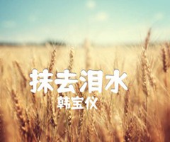 抹去泪水（）吉他谱_韩宝仪_C调_原版指弹吉他简谱