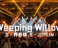 Weeping Willow吉他谱_S·乔普林（S·JOPLIN）_原版弹唱吉他简谱