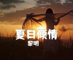 夏日倾情吉他谱_黎明_B调_原版弹唱吉他简谱