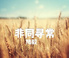 《非同寻常吉他谱》_陆毅_吉他图片谱1张