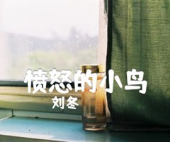 愤怒的小鸟吉他谱_刘冬_原版弹唱吉他简谱