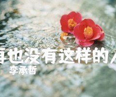 《再也没有这样的人吉他谱》_李承哲_吉他图片谱3张